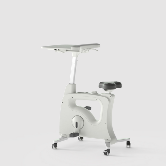 Home Office All-in-One Desk Bike